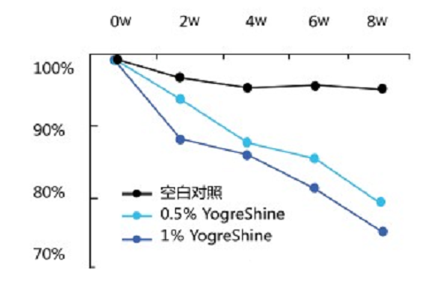 YogrShine 酸乳提取物